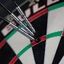 bulls_andy_baetens_80_180[1].webp