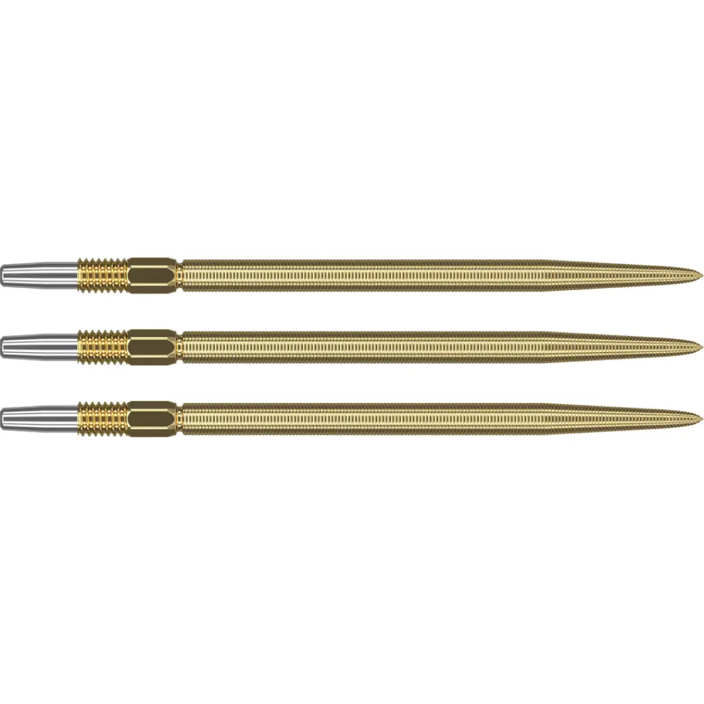 340179_swiss_nano_point_gold_40mm_2024[1].webp