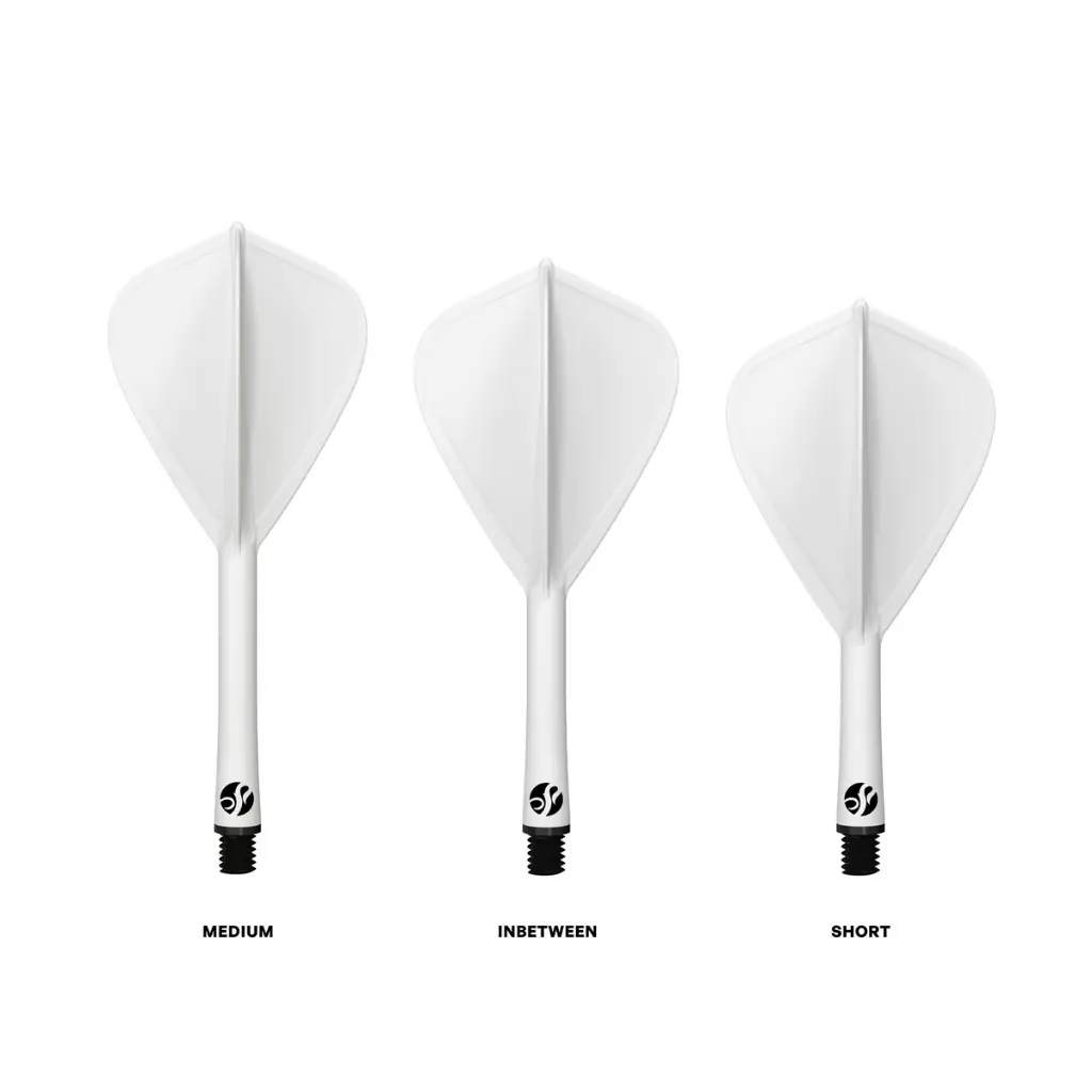 sf5473_flight-deck-kite_3-up-sizes_white[1].webp