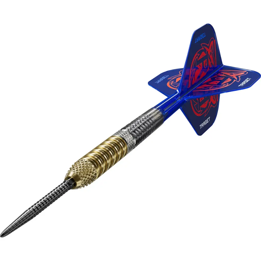 190497_raymond_van_barneveld_95__gen6_25g_steel_tip_2025_dynamic[1].webp