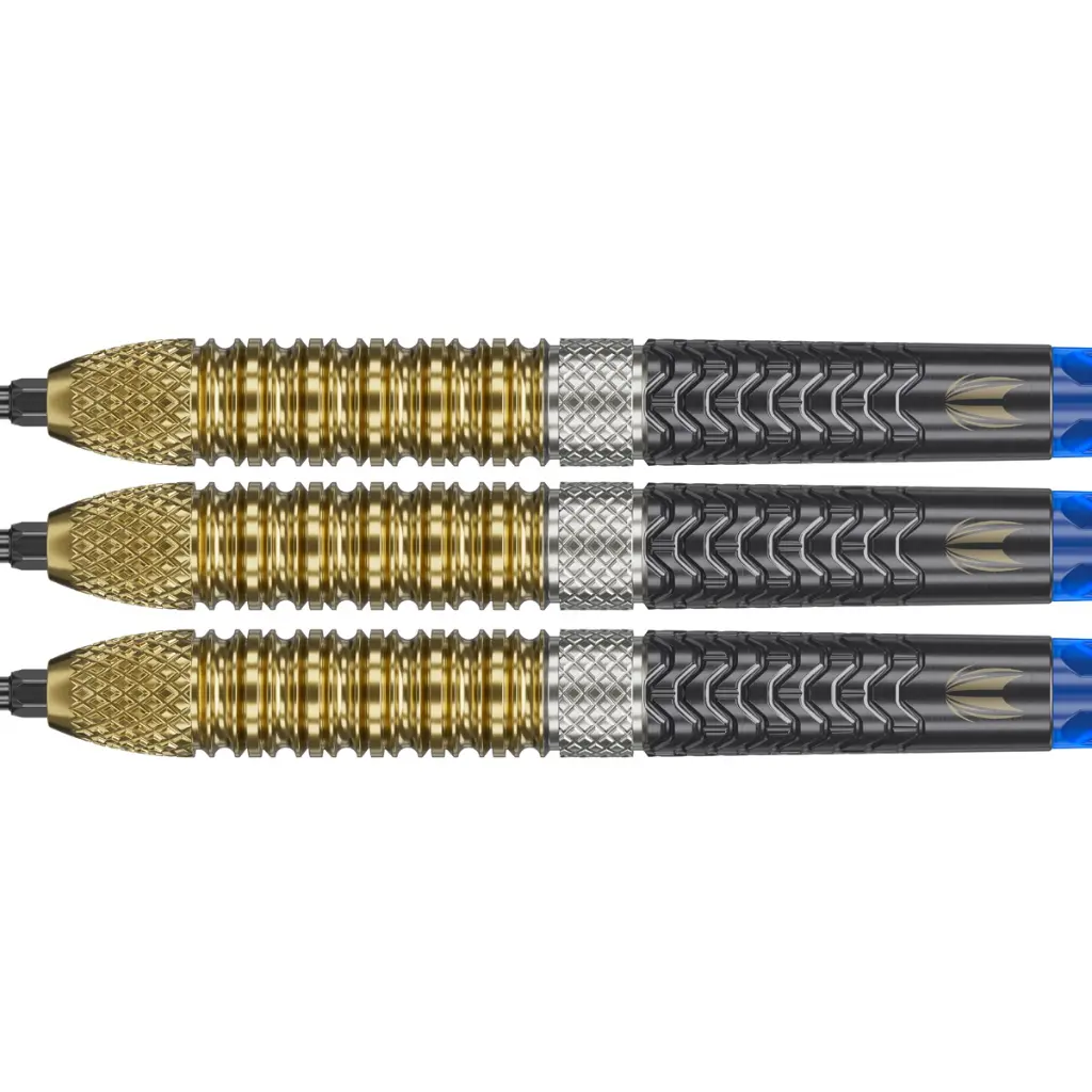 190497_raymond_van_barneveld_95__gen6_25g_steel_tip_2025_detail[1].webp