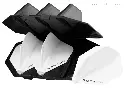 robson_plus_flight_case_black_w_flight__1[1].webp