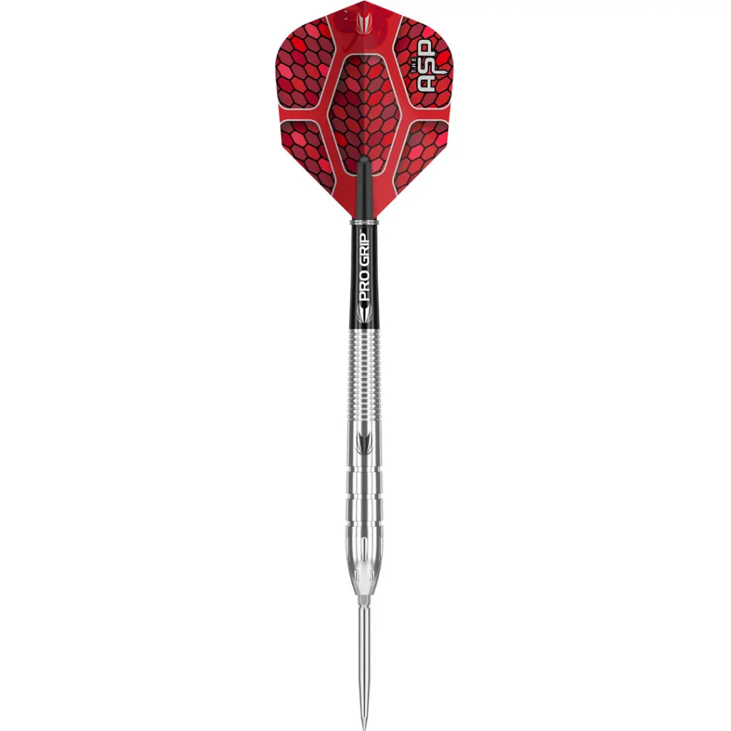 nathan_aspinall_darts_barrel_1[1].webp