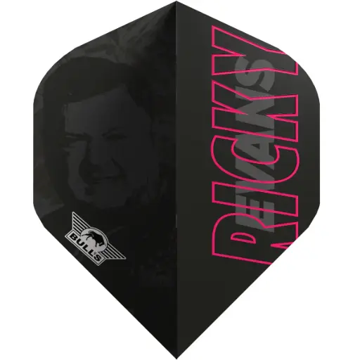 [BU-51032] Bull's Player 100 Ricky Evans 80 E2 No.2 
